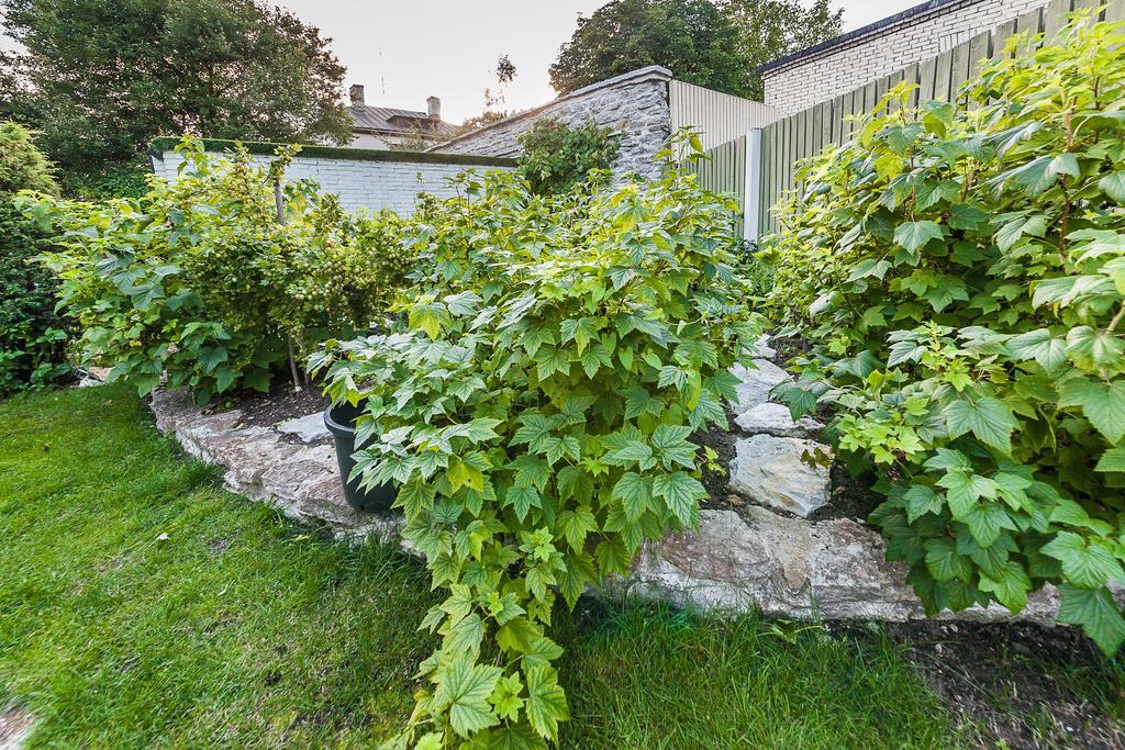 City Center Garden Camping Reval Exterior foto